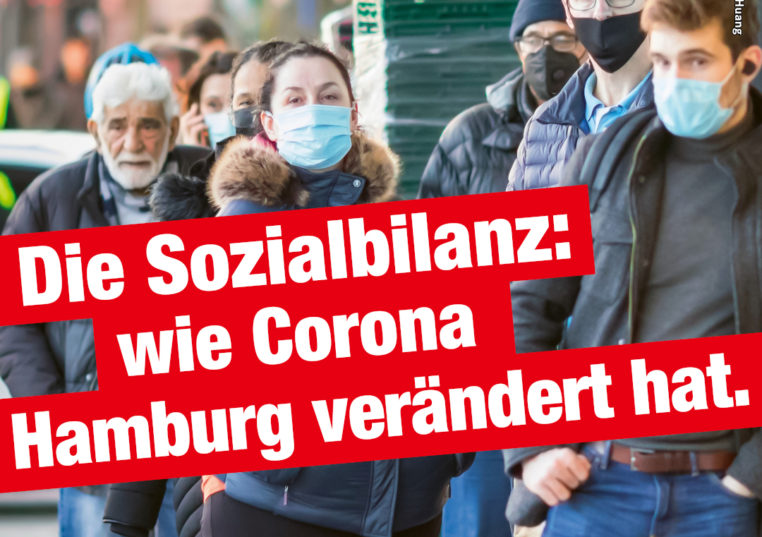 Die_Linke_webs